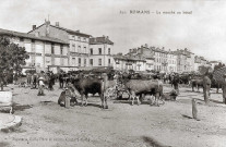 Romans-sur-Isère.- Le marché aux bœufs, place Jean Jaurès.