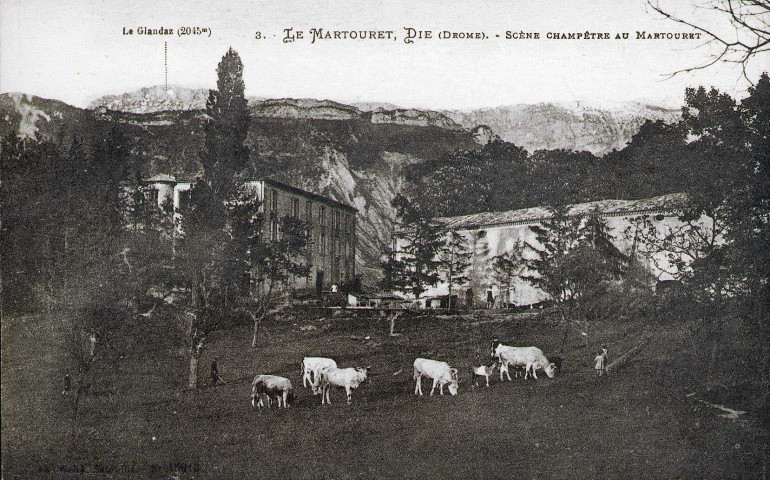 Vue du domaine le Martouret.