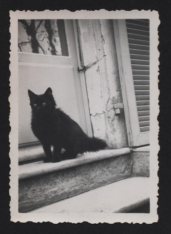 Chat noir devant une porte.