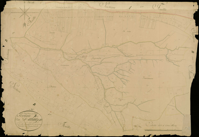 Section B2, Alauzon.