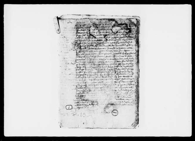 29 novembre 1491-23 février 1521