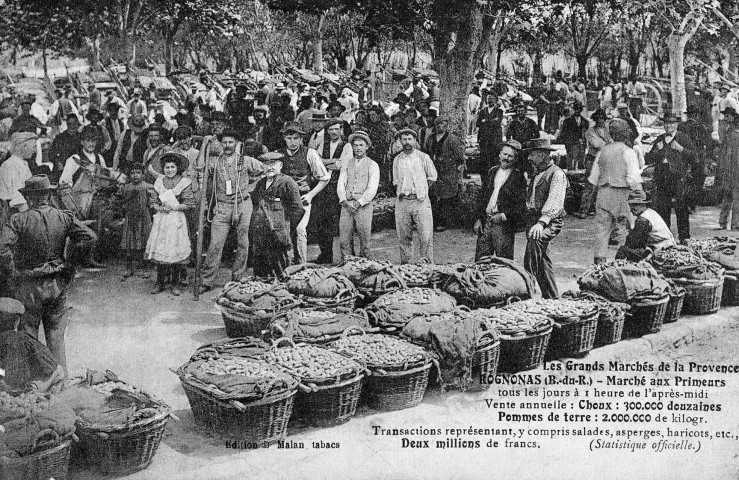 Rognonas (Bouches-du-Rhône). - Marché aux primeurs.