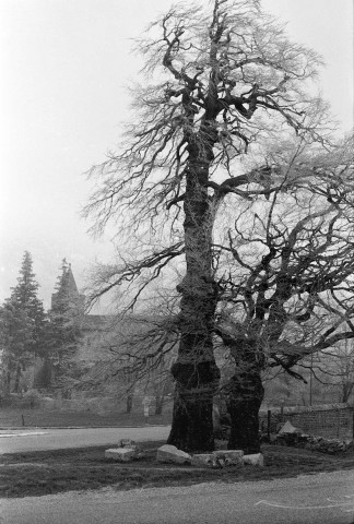 Léoncel.- Les abords de l'abbaye.