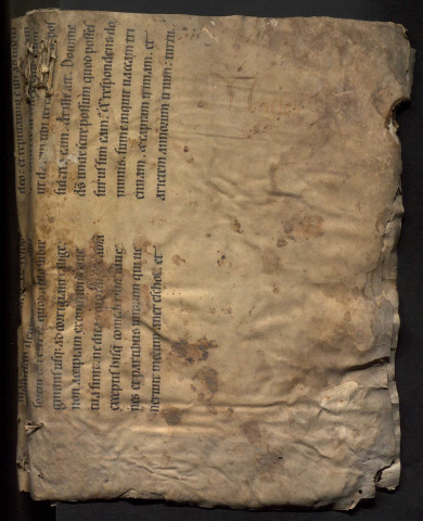 30 décembre 1560-15 mai 1564