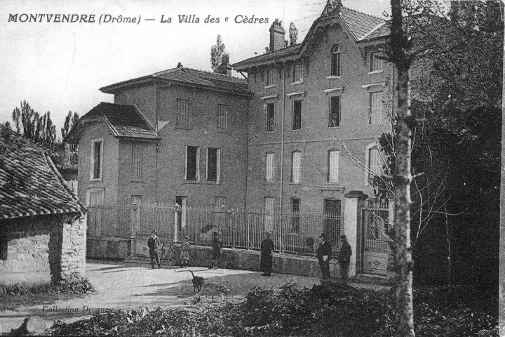 La Villa des Cèdres.