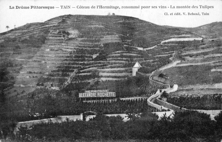 Le coteau de l'Hermitage.