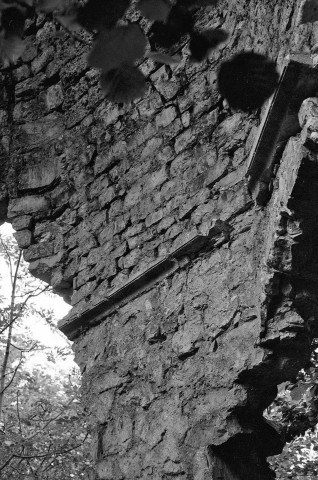 Piégros-la-Clastre.- Le mur sud de la nef de la chapelle Saint-Médard (XIIe s.), reste d'arc.
