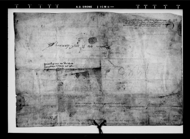 Bulles des papes Alexandre IV et Honoré III : vidimus.