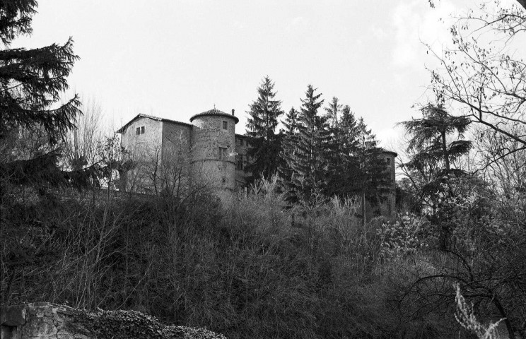 Chavannes.- Le château du Mouchet.