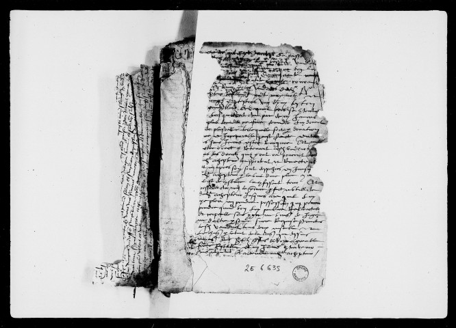 25 janvier 1548-27 octobre 1566