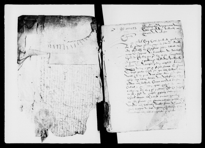 février-décembre 1584