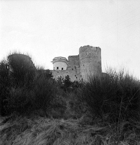 Puygiron. - Le château.