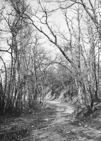 Charols, château de Salettes. - Le chemin des Ramières.