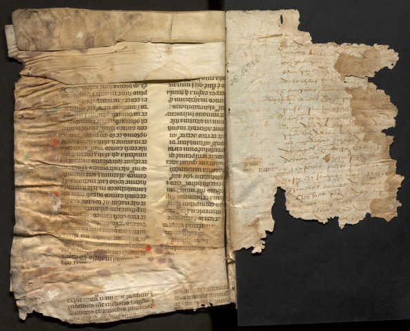 30 décembre 1560-15 mai 1564