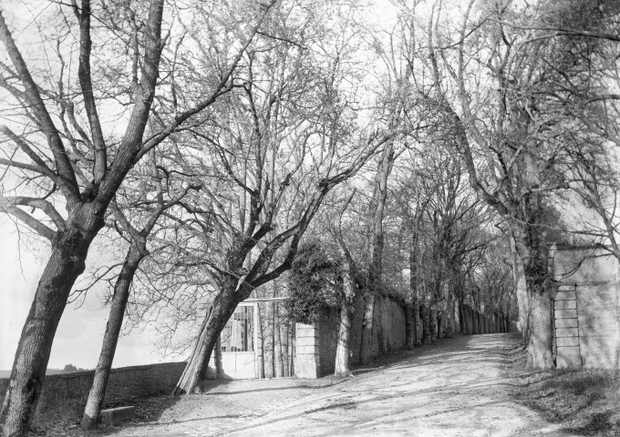 Montbard (Côte-d'Or). - Entrée du parc Buffon.
