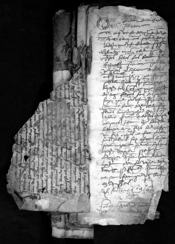 Notes brèves (15 janvier-29 octobre 1562).