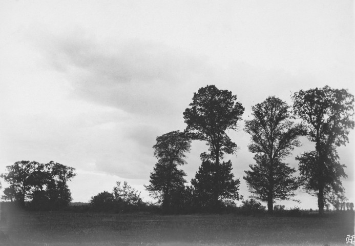 Jessains (Aube), usine de Beaulieu. - Coucher de soleil sur les chênes