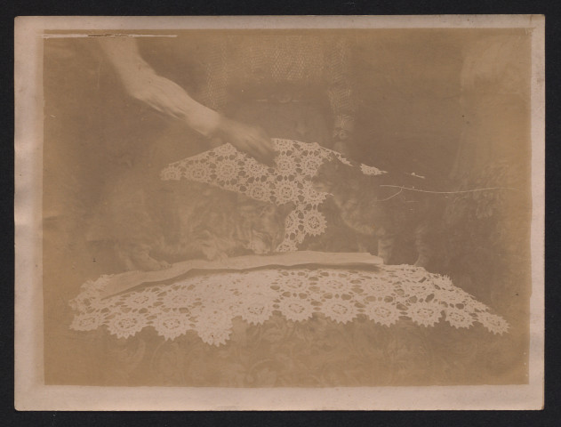 Chats sur un fauteuil.