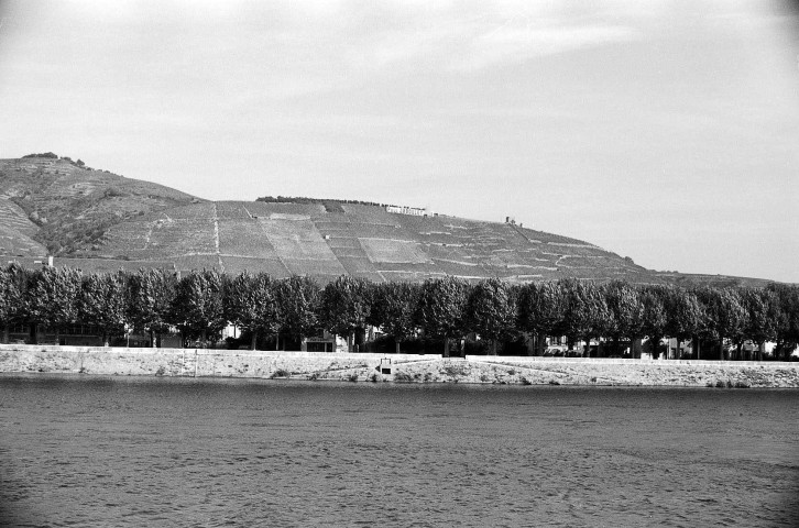 Tain-l'Hermitage. - Vue panoramique des quais.