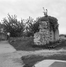 Étoile-sur-Rhône.- Rue de l'Ail.