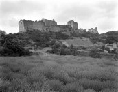 Rochefort-en-Valdaine.- Les vestiges du château.