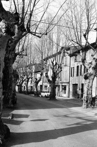 Buis-les-Baronnies. - L'Allée des Platanes.