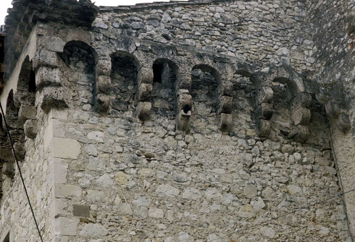 Montclar-sur-Gervanne.- Le château de la Vachères.