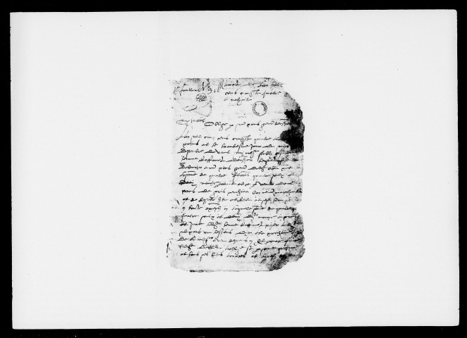 Notes brèves (30 décembre 1553-29 décembre 1554).