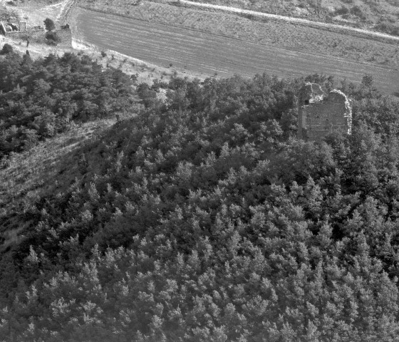Vue aérienne des ruines du château.