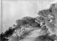 La Ciotat (Bouches-du-Rhône). - La route de Saint-Cyr.