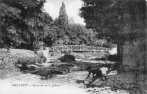 Passerelle sur le Jabron.