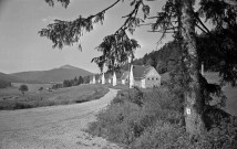 Bouvante.- Chalets de la forêt de Lente.