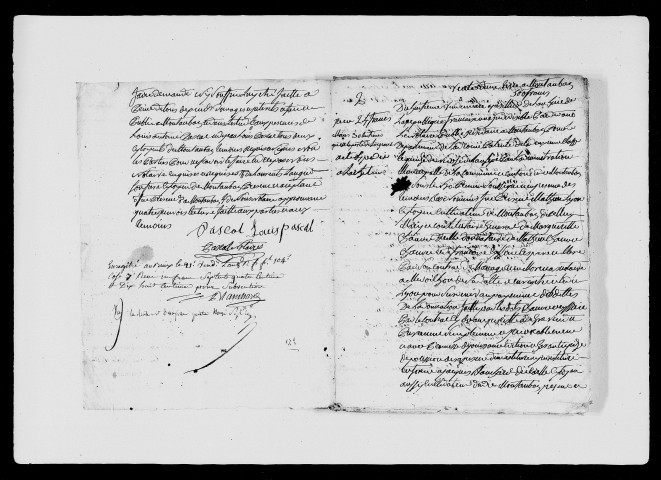 5 vendémiaire-4e jour complémentaire an VIII