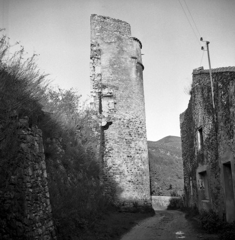 Le Poët-Laval.- Les restes du château féodal.