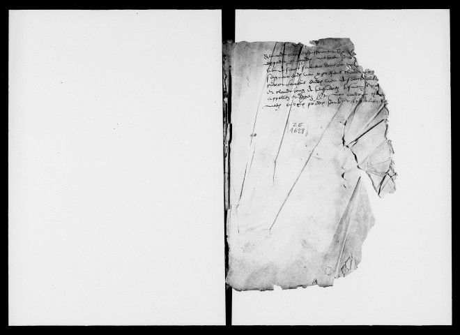 25 avril 1530-31 janvier 1555