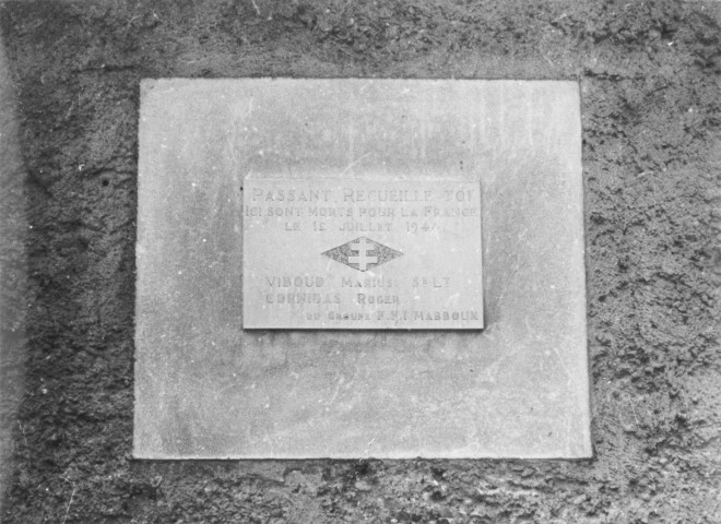 9. Brigade de Saint-Rambert-d'Albon. Nature de la commémoration : stèle. Lieu : Andancette, Creux de la Thine, au niveau de l'entrée nord, en bordure de la route nationale n°7. Nombre de victimes, fusillées : 2. Circonstances : résistants abattus par les miliciens le 12 juillet 1944.