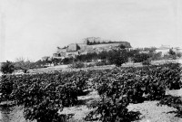 Grignan.- Le village et le château.