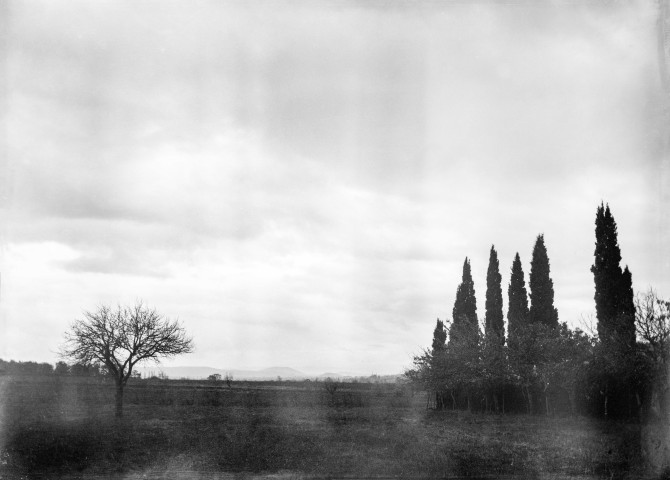 Charols, château de Salettes. - Essai de coucher de soleil, sur une haie de cyprès.