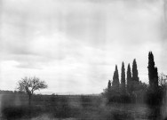 Charols, château de Salettes. - Essai de coucher de soleil, sur une haie de cyprès.