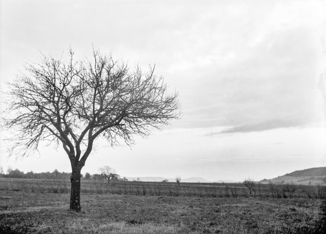 Charols, château de Salettes. - Essai de coucher de soleil.