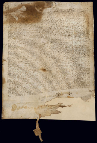 AA 3. Hommages des habitants et procurations du châtelain et sa femme données à deux écuyers.