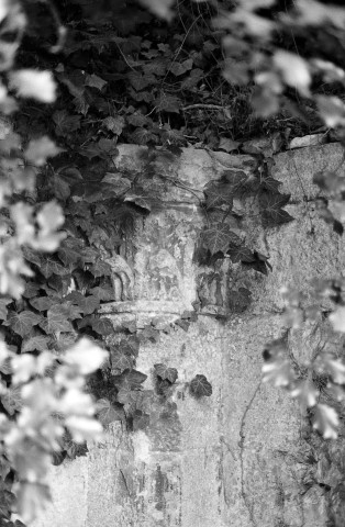 Livron-sur-Drôme.- Vestiges de l'ancienne abbaye dans le cimetière.