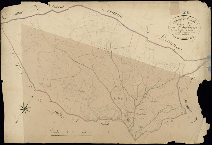 Section A1, Tarsimoure.