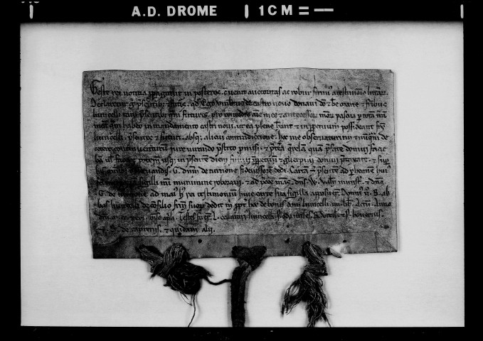 Donation par Humbert de Châteuneuf.