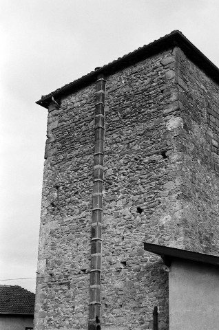 Saint-Donat-sur-l'Herbasse.- Façade du Palais Delphinal, côté cour de récréation de l' école.