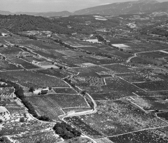 Vue aérienne du vignoble.