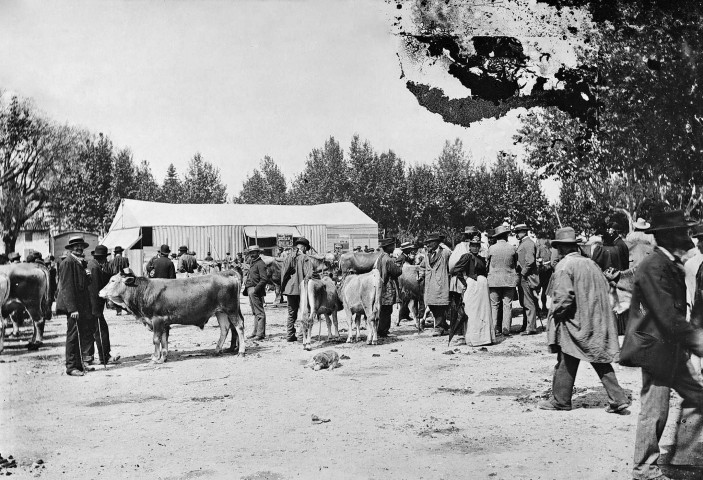 Marsanne.- Marché rural.