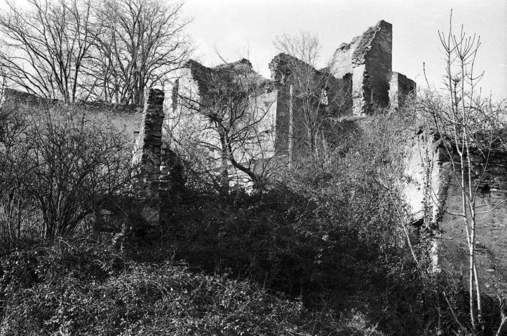 Mirabel-aux-Baronnies.- Visite du village pour une enquête architecturale.