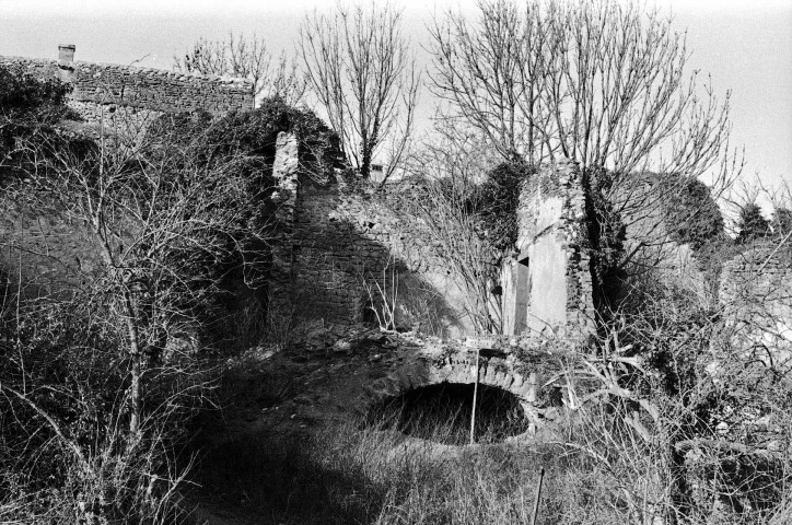 Mirabel-aux-Baronnies.- Visite du village pour une enquête architecturale.