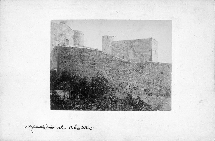 Montélimar. - Le château des Adhémar.